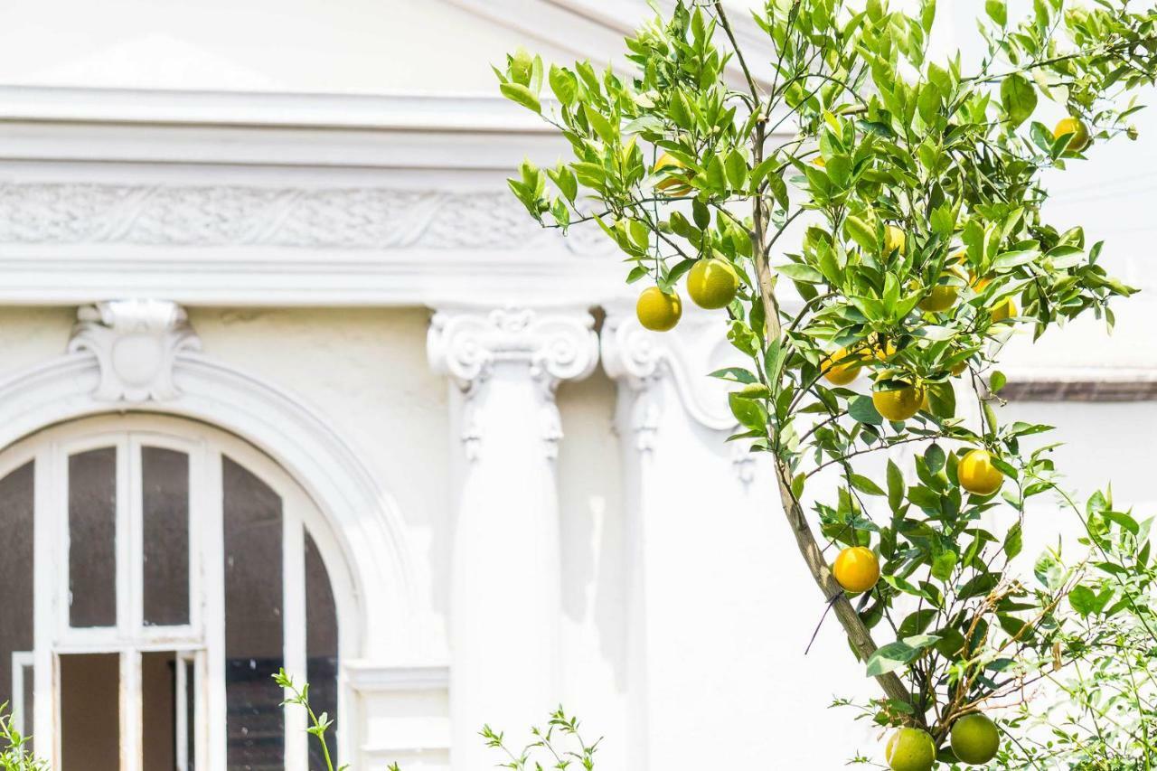 Myplace Zocalo Meksyk Zewnętrze zdjęcie