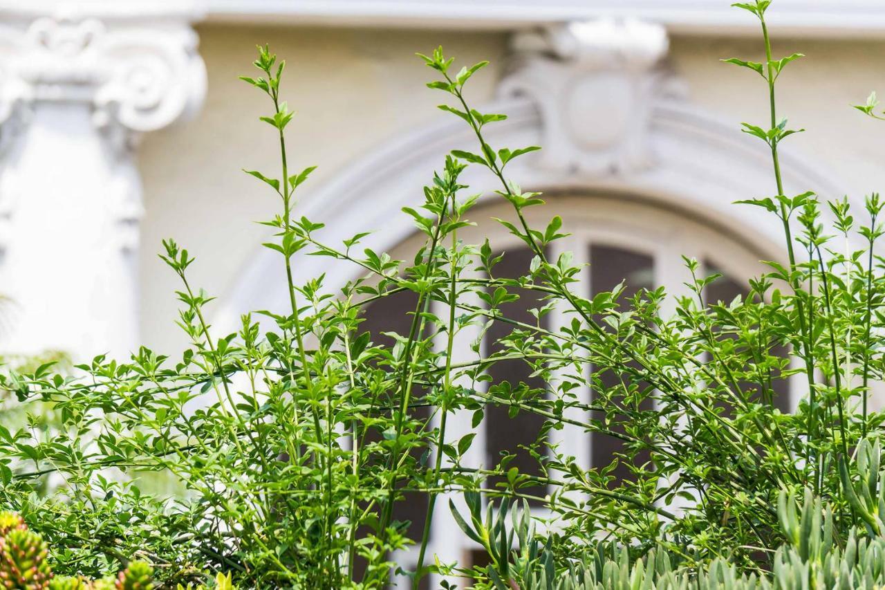 Myplace Zocalo Meksyk Zewnętrze zdjęcie